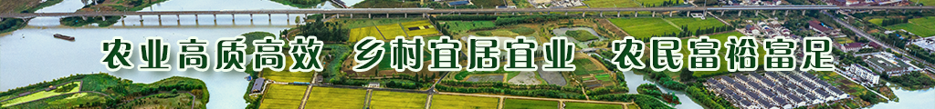 農業(yè)高質高效